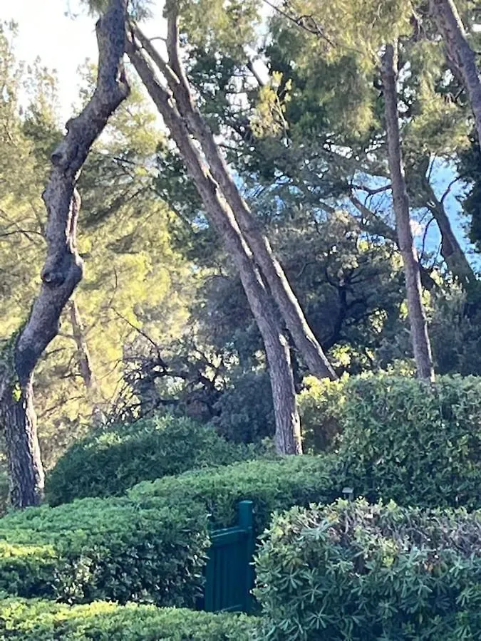 Dragonniere, Superbe 2P Vue Parc Et Piscine, Pres De Monaco Appartement Roquebrune-Cap-Martin